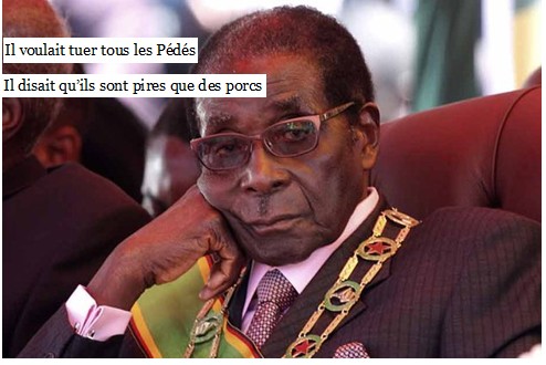 Alors que Mugabé traitait les homosexuels de chiens et porcs: Son fils révèle qu’il est gay!