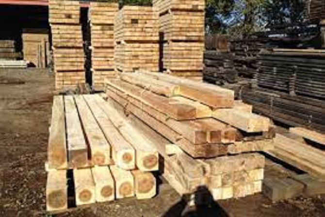 Alerte sur le «Walankobé» : Une autre forme de déforestation détectée, prend de l’ampleur au Fouladou