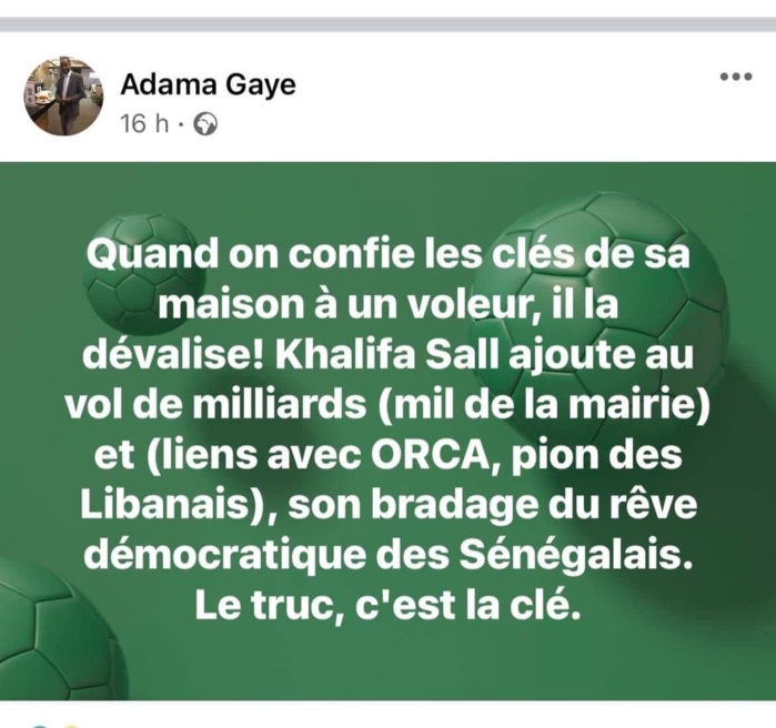 Adama Gaye dénigre Khalifa Sall : "Quand on confie sa maison à un voleur, il la dévalise"