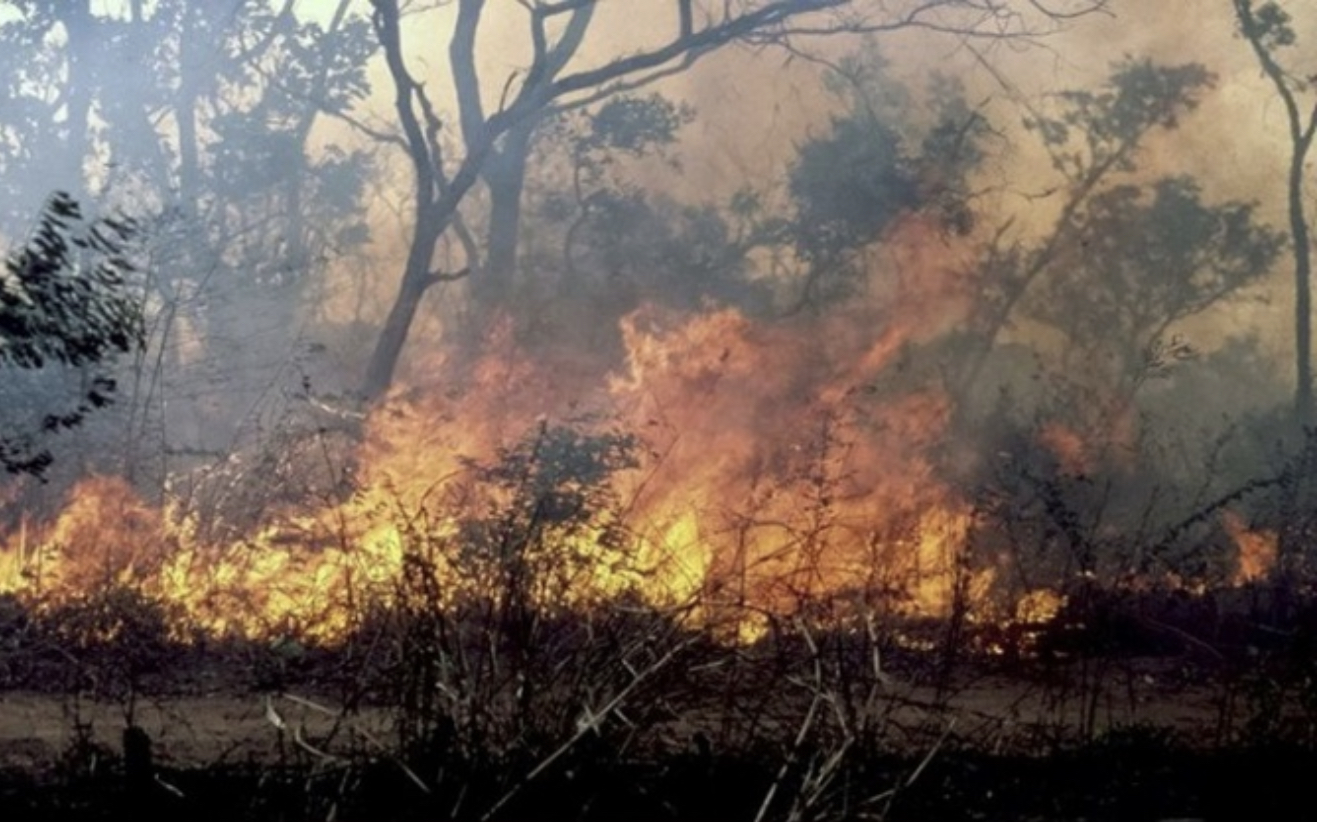 Podor : trois morts dans un feu de brousse à Doumnga-Lao
