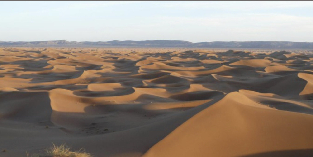 Frontière tchado-libyenne : 20 personnes mortes de soif en plein désert