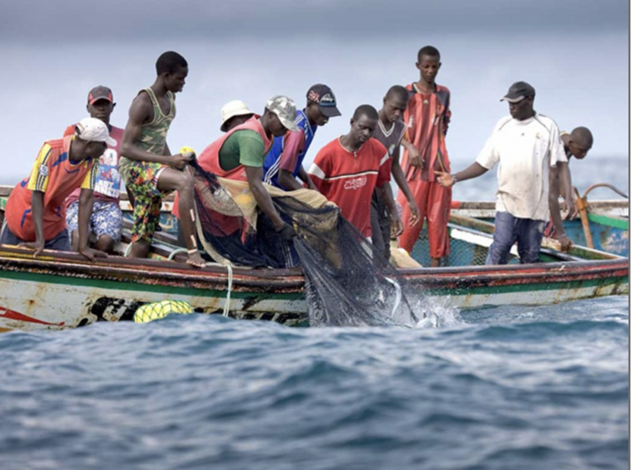 Raréfaction des ressources halieutiques: La pêche vit "une crise pernicieuse"