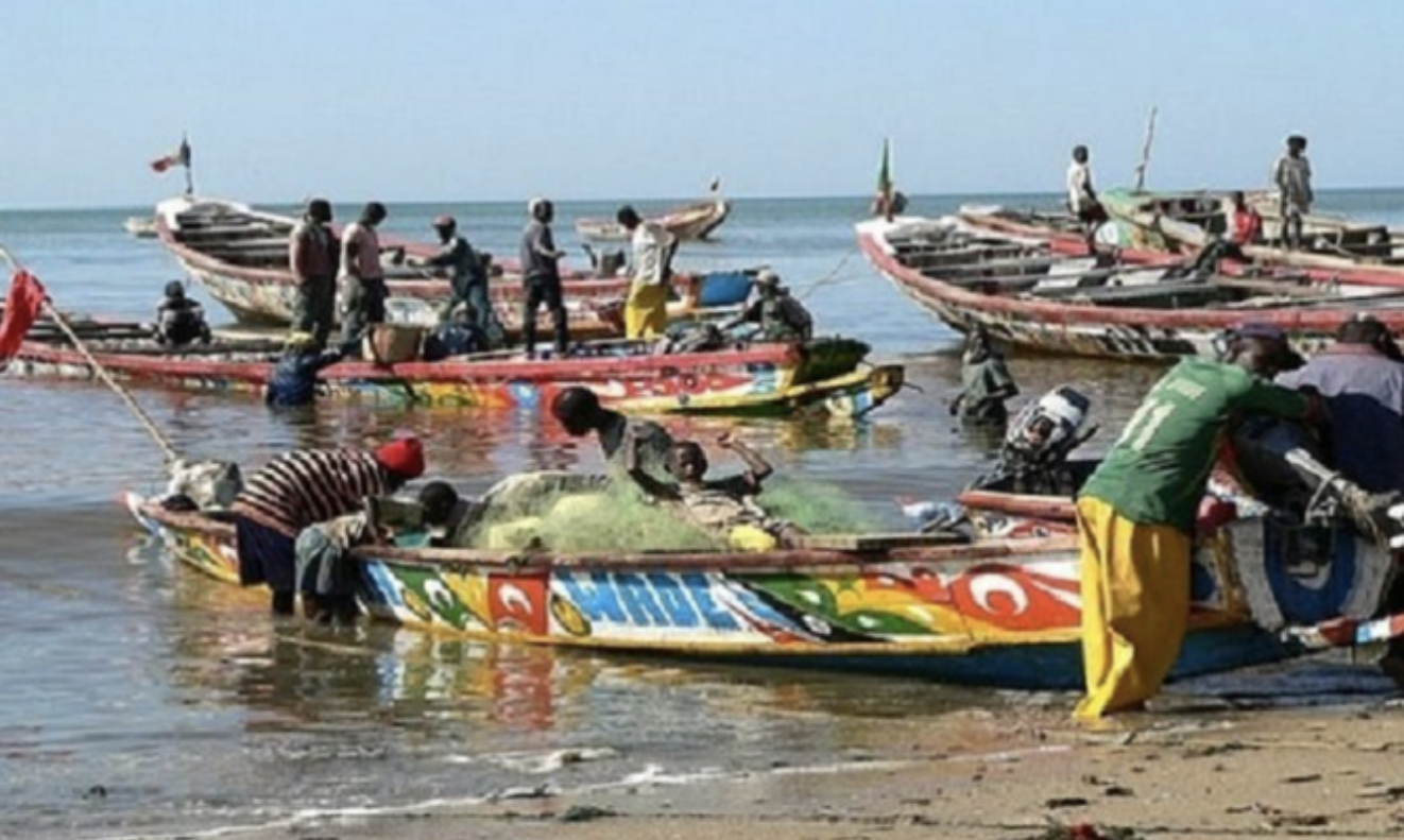 Déblocage des licences de pêche : Des remous en vue dans le secteur