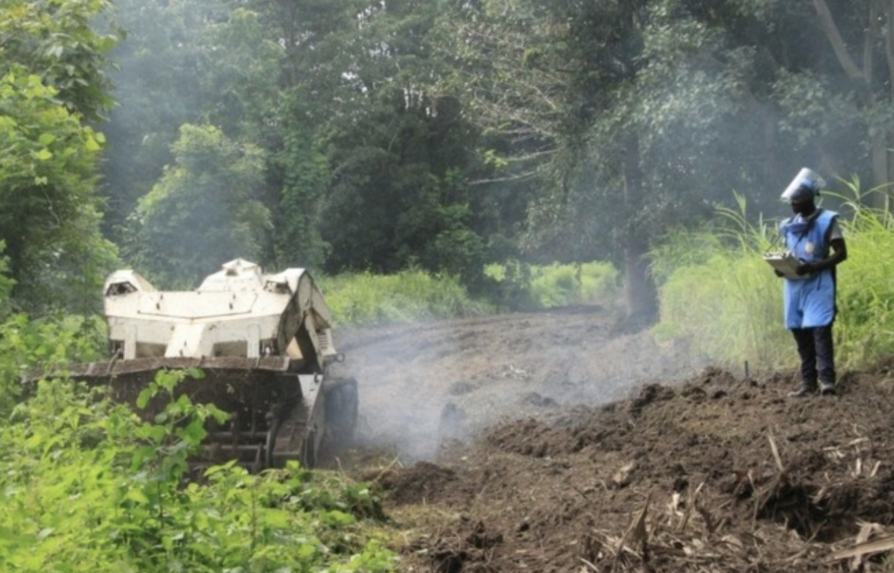 Casamance : Environ 1 million 500 mille m2 de terres à déminer
