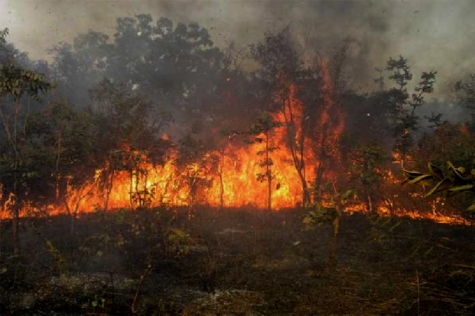 Environnement : Médina Yoro Foula note une tendance baissière des feux de brousse
