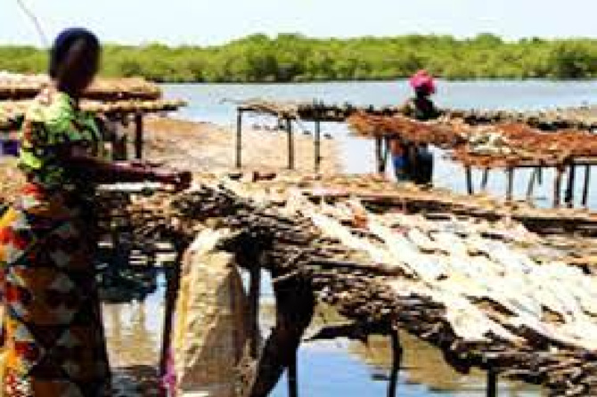 Gie Badeenaa Kafoo Diya : Pour l’autonomisation des femmes de Tambacounda