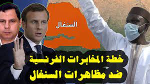 Condamné pour terrorisme en Egypte : Saber Mashour fait l'éloge du frère Ousmane Sonko