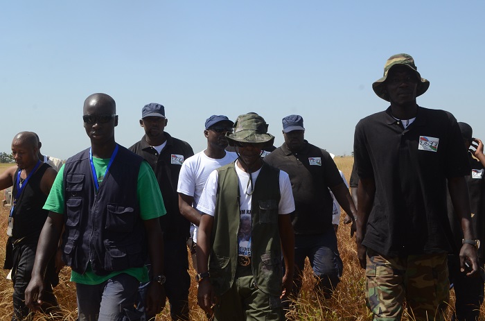 Cheikh Amar à l’assaut des 3000 hectares de mil à khelcom.