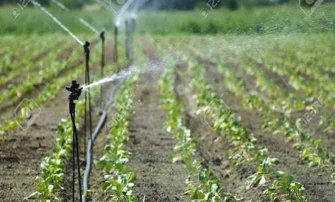 Accès à l’eau : Fida plaide pour des investissements en faveur des exploitations familiales