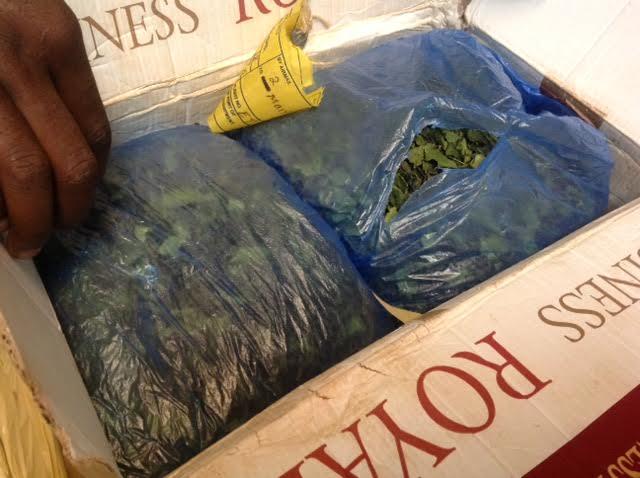 La Douane saisit de la drogue : Khat et cannabis, les brigades de l’aéroport Léopold Sédar SENGHOR de Dakar et de Kaffrine en exergue