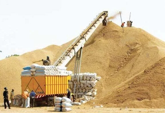 Campagne de commercialisation : La Sonacos vise 300.000 tonnes de graines d’arachide