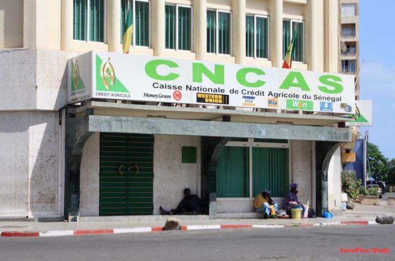 Détournement à la Cncas: L'ancien caissier risque 7 ans de prison ferme
