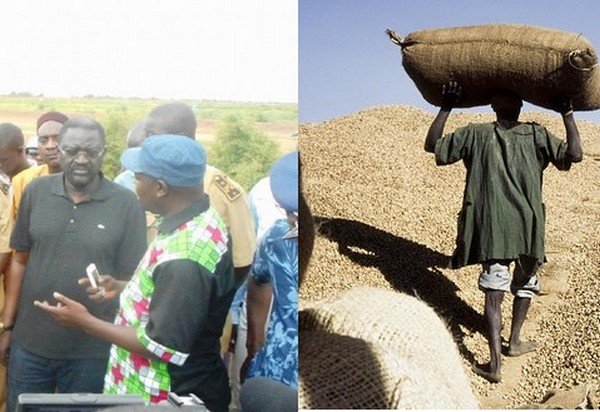 « Le ministre de l’Agriculture a augmenté le revenu des producteurs », selon les jeunes de Kaolack