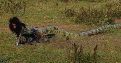 Guinée – Nzérékoré : Une fille surprise entrain de se transformer en serpent