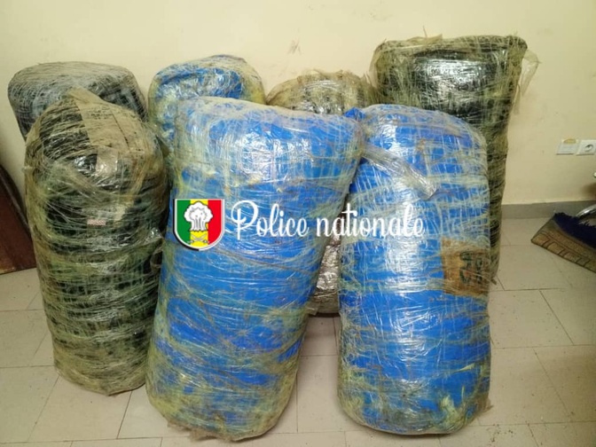 Importante saisie à Fadial : 245 kg de chanvre indien interceptés par l’OCRTIS