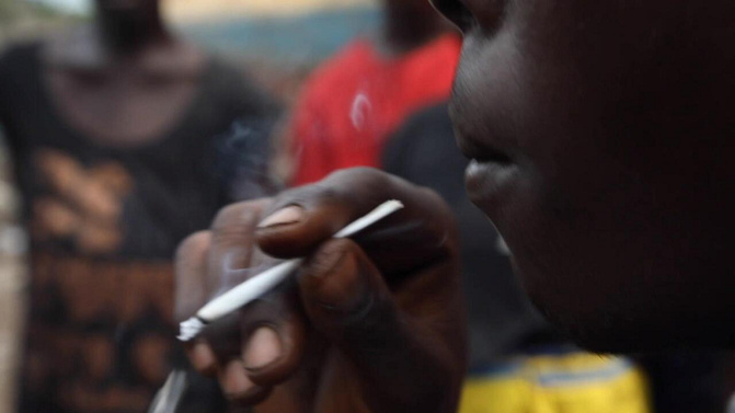 Kush, la drogue meurtrière qui ravage la jeunesse sénégalaise : Le cri d’alerte de Dr. Ibrahima Ndiaye sur ce fléau