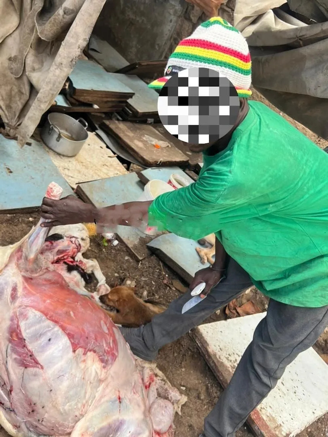 Diamaguène Sicap Mbao : un homme arrêté pour maltraitance animale et vente de viande avariée