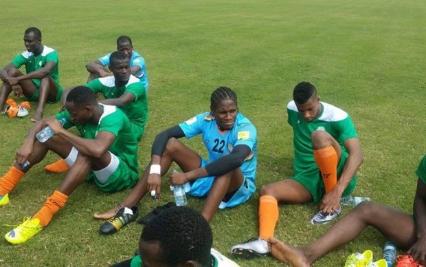 Ce qu’il faut retenir du Niger, adversaire des Lions du Sénégal…