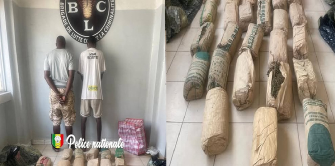 Pikine Guinaw Rails : Deux individus interpellés par la police, pour détention, trafic de chanvre indien