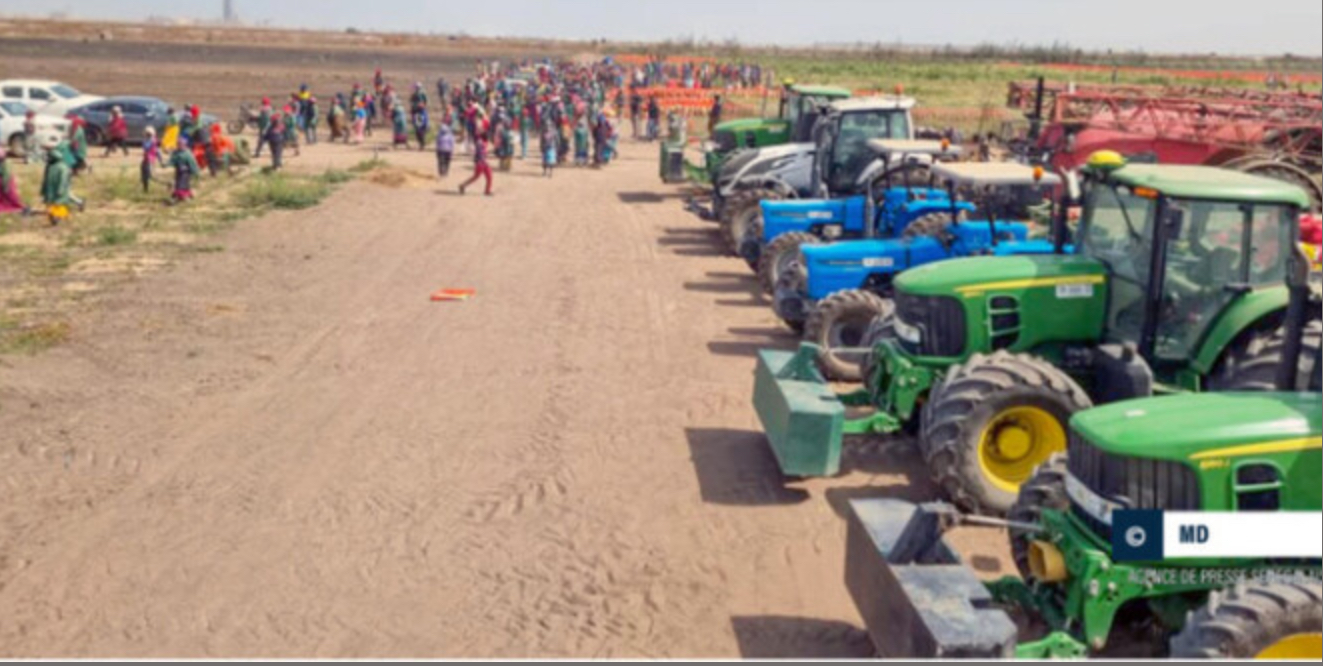 Affaire QVS/SNV : Comment Ousmane Sonko a été induit en erreur