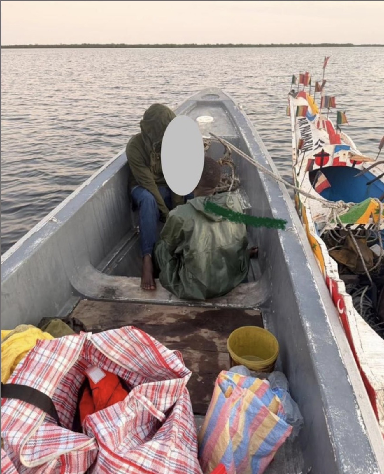 Lutte contre les trafics illicites : D’importantes quantités de cuisses de poulet et de chanvre indien saisies par les Douanes