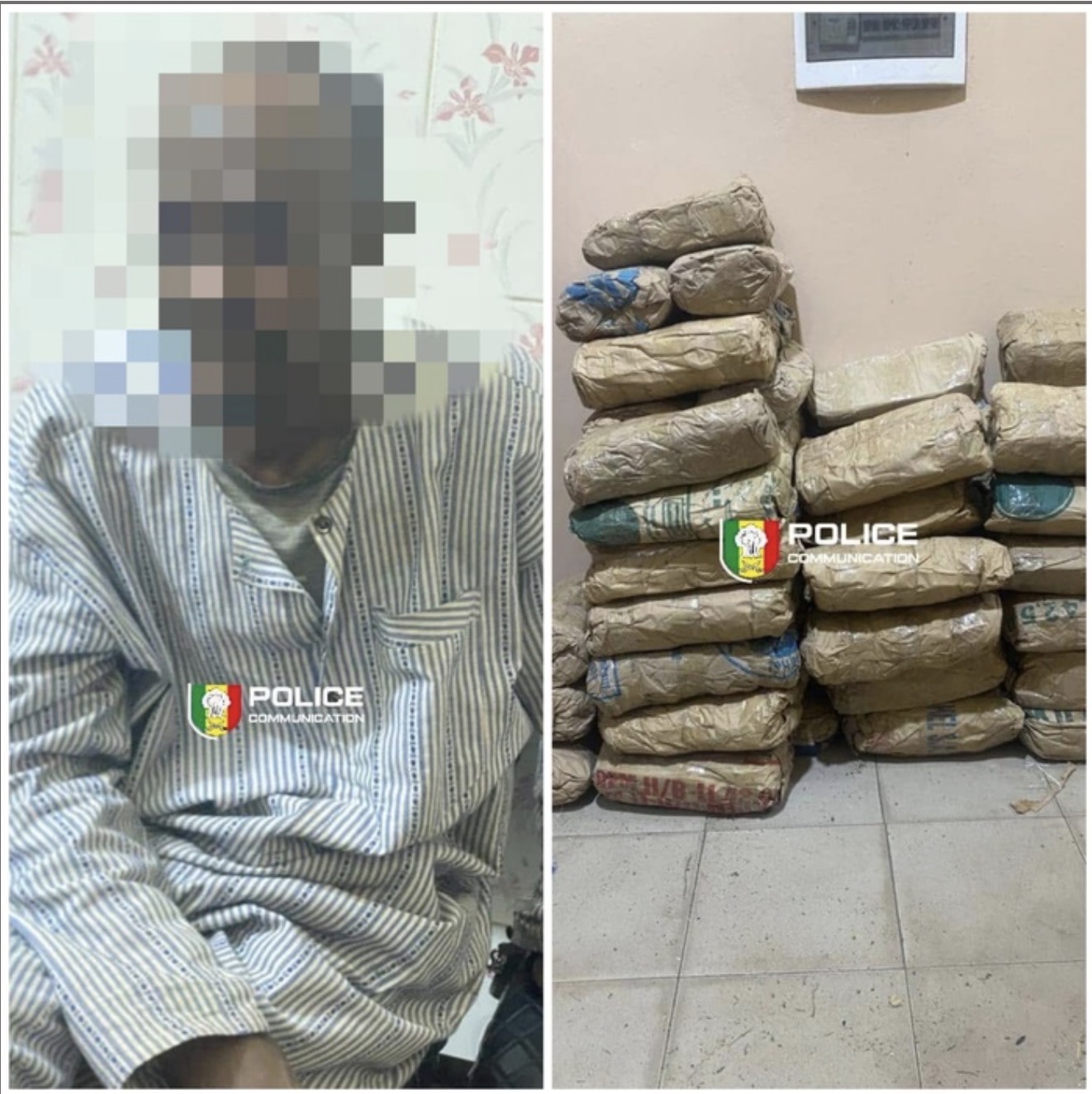 Lutte contre le trafic de drogue : la BRS de Kaolack intercepte 55 kg de chanvre indien