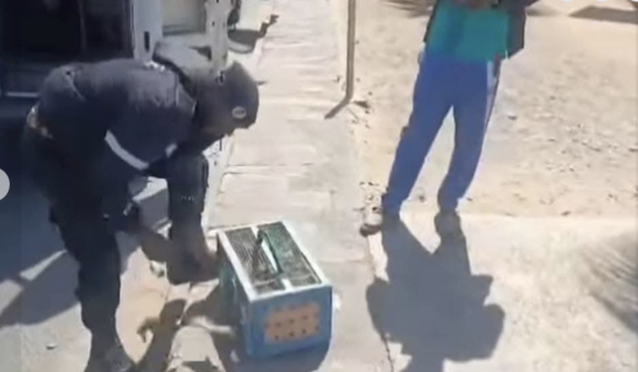 Vente d’oiseaux en cage : La Police nationale lance une vaste opération pour mettre fin à cette pratique