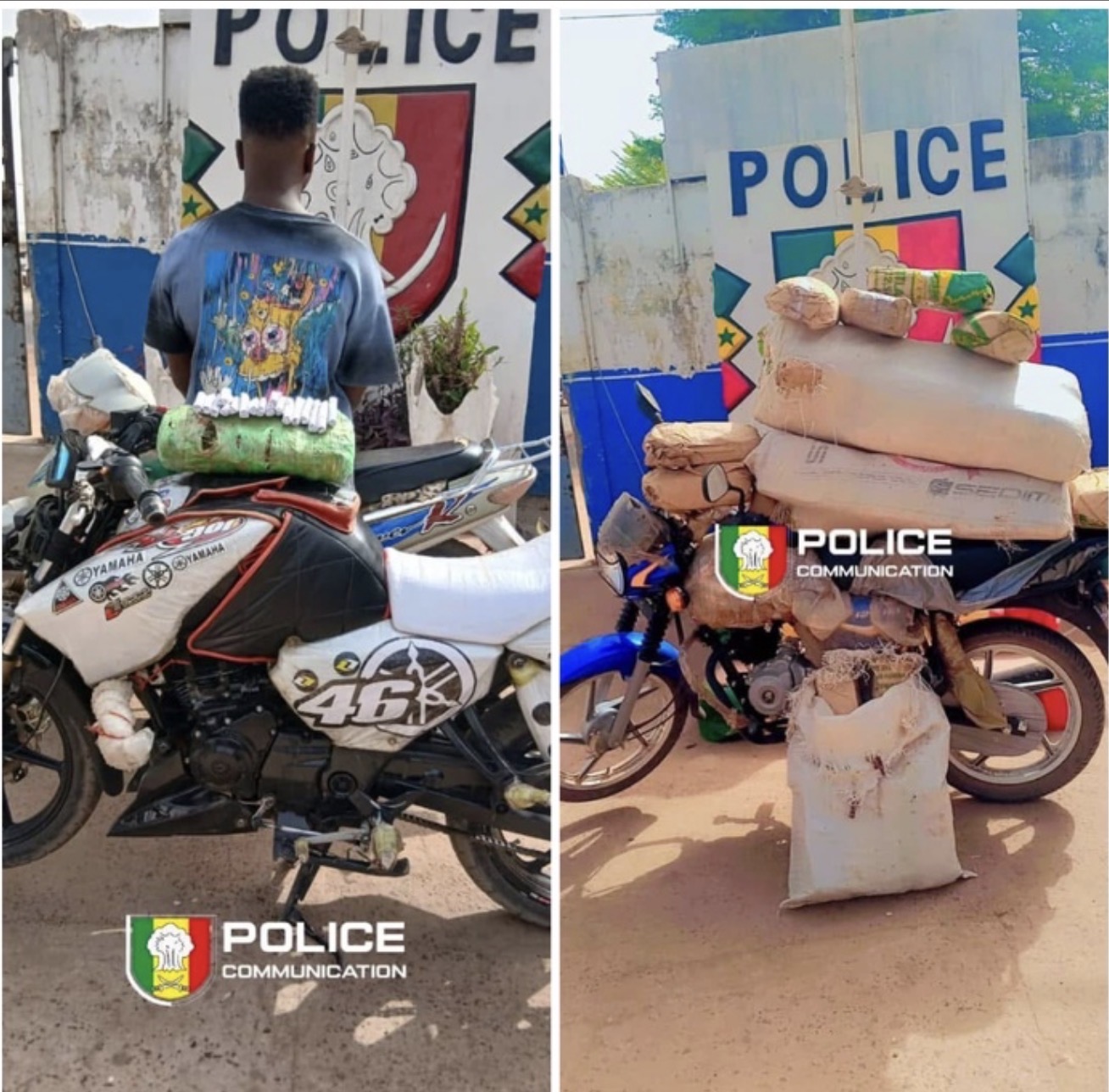 Kolda : 44,1 kg de chanvre indien saisis lors de deux opérations policières