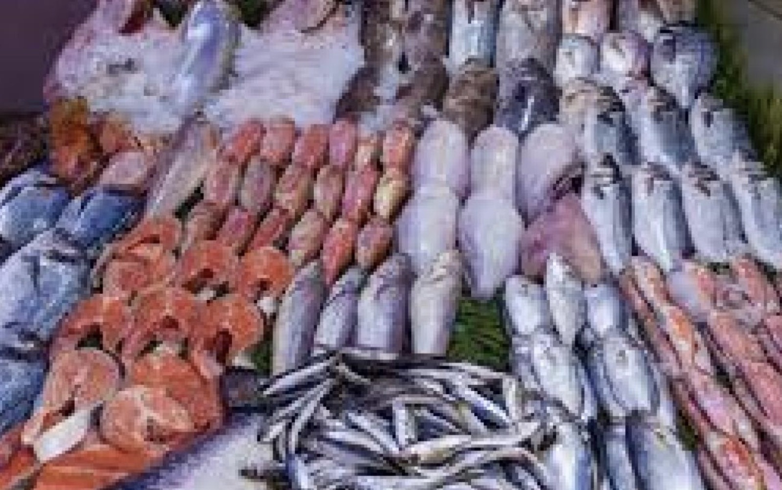 Ramadan et Carême à Matam : Cherté du poisson, fruits et légumes à prix raisonnables