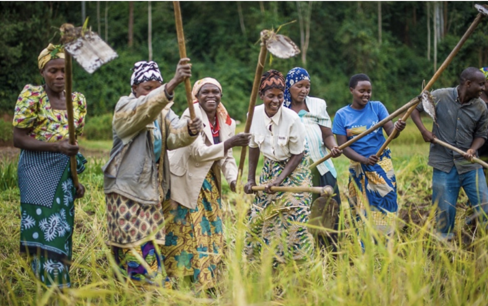 14 heures de travail gratuit par jour » : Le cri du cœur de Seynabou Pouye pour les femmes rurales