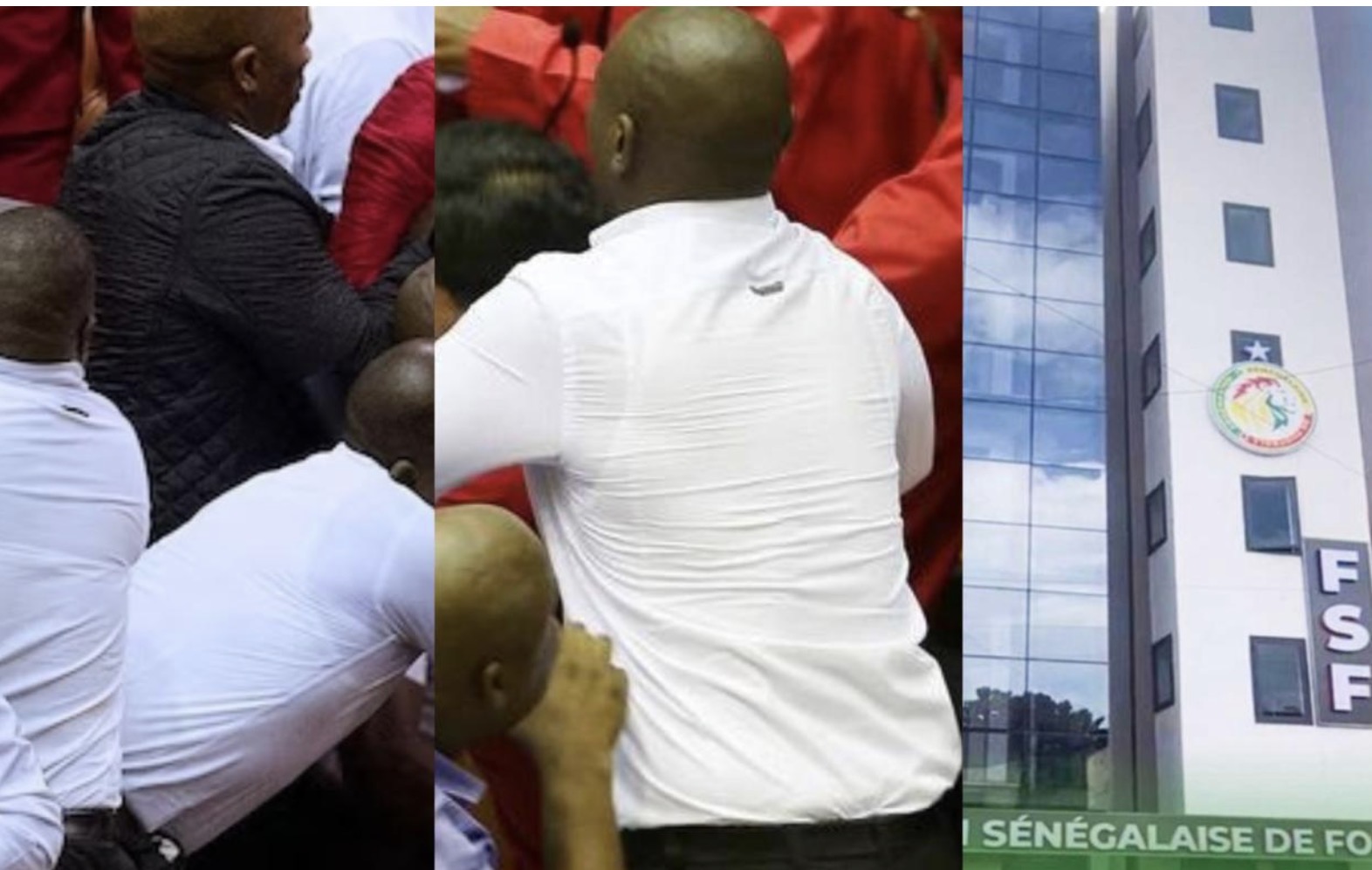 FSF : un Comex électrique, récit d'un déballage