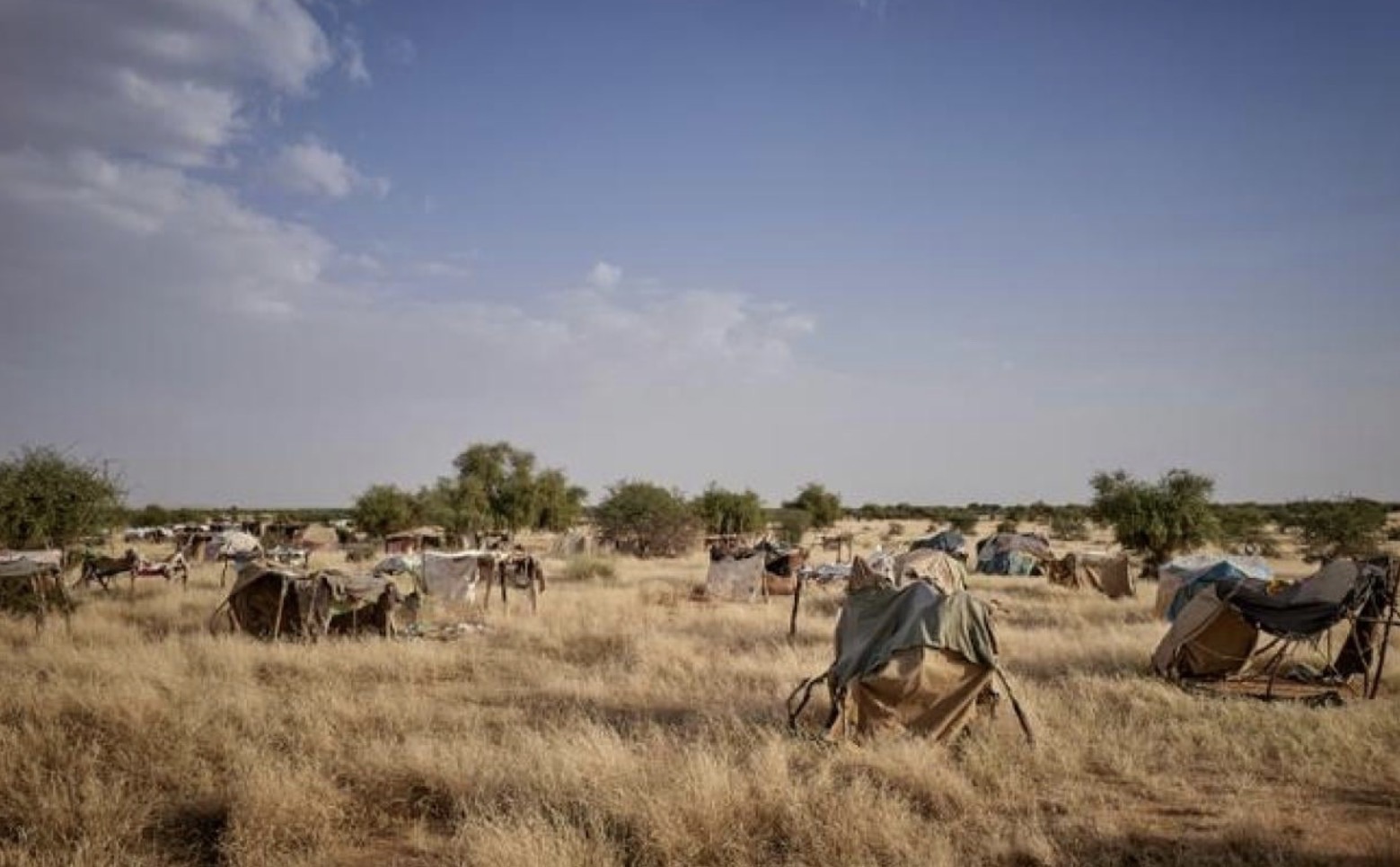 Mali: plus d'une centaine de jihadistes présumés libérés contre le passage des convois de carburant