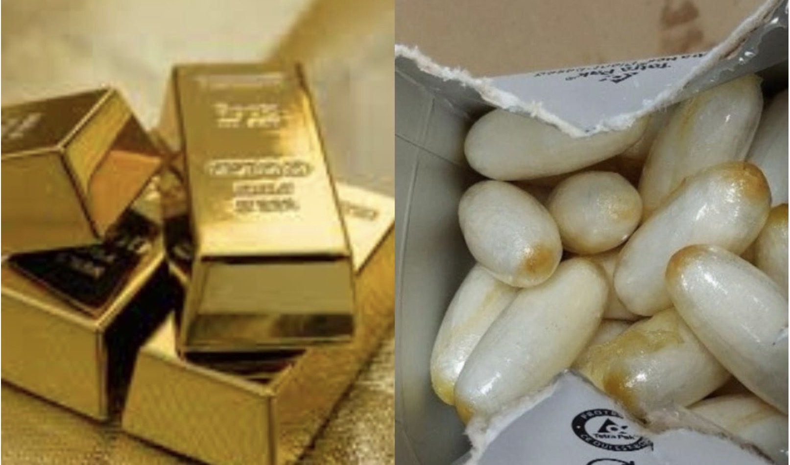 Trafic aux Almadies : Cocaïne, lingots d'or et "Live Resin", la chute du cartel huppé de Dakar