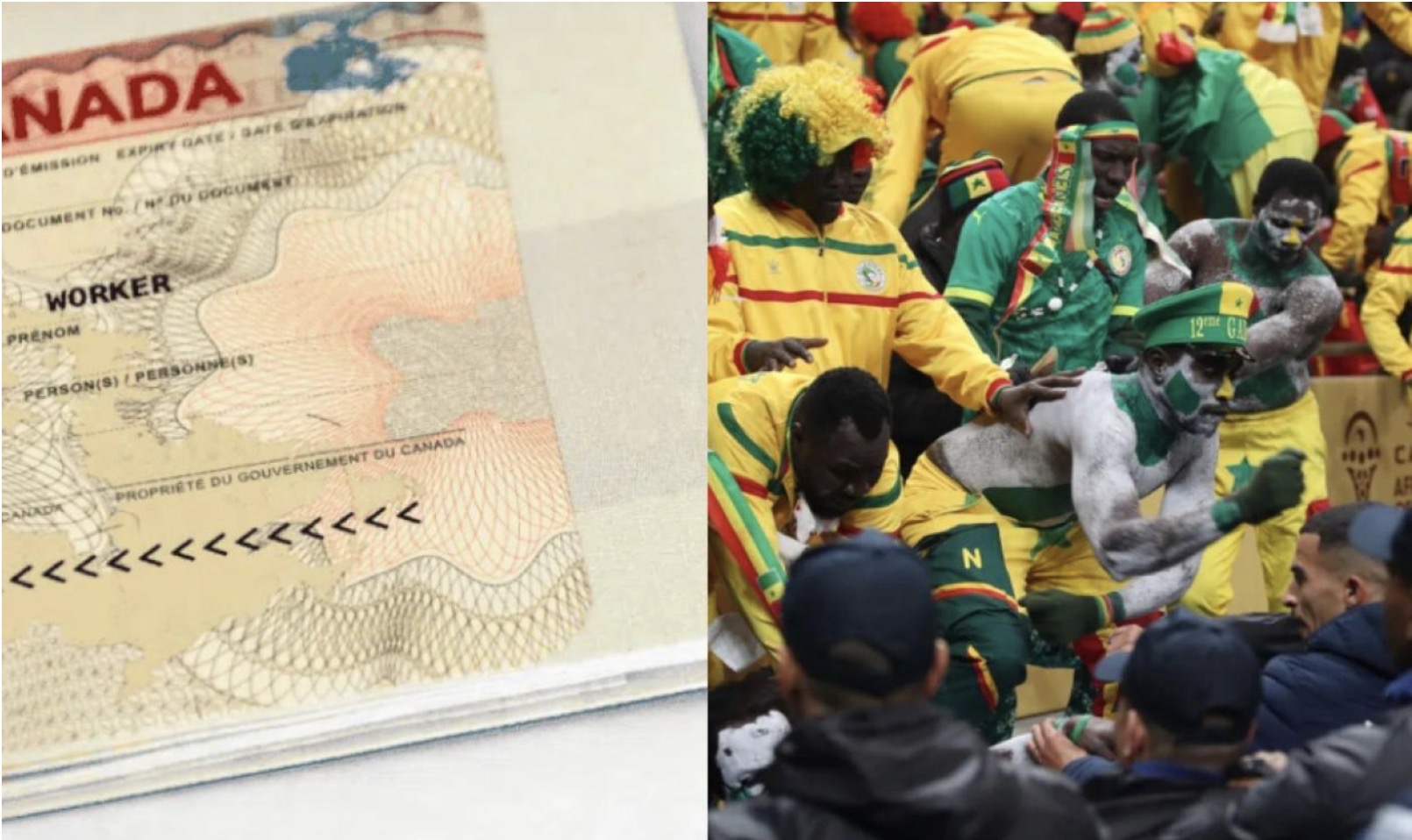 Visa Coupe du monde 2026 : L’ambassade du Canada met en garde contre des fraudes au Sénégal