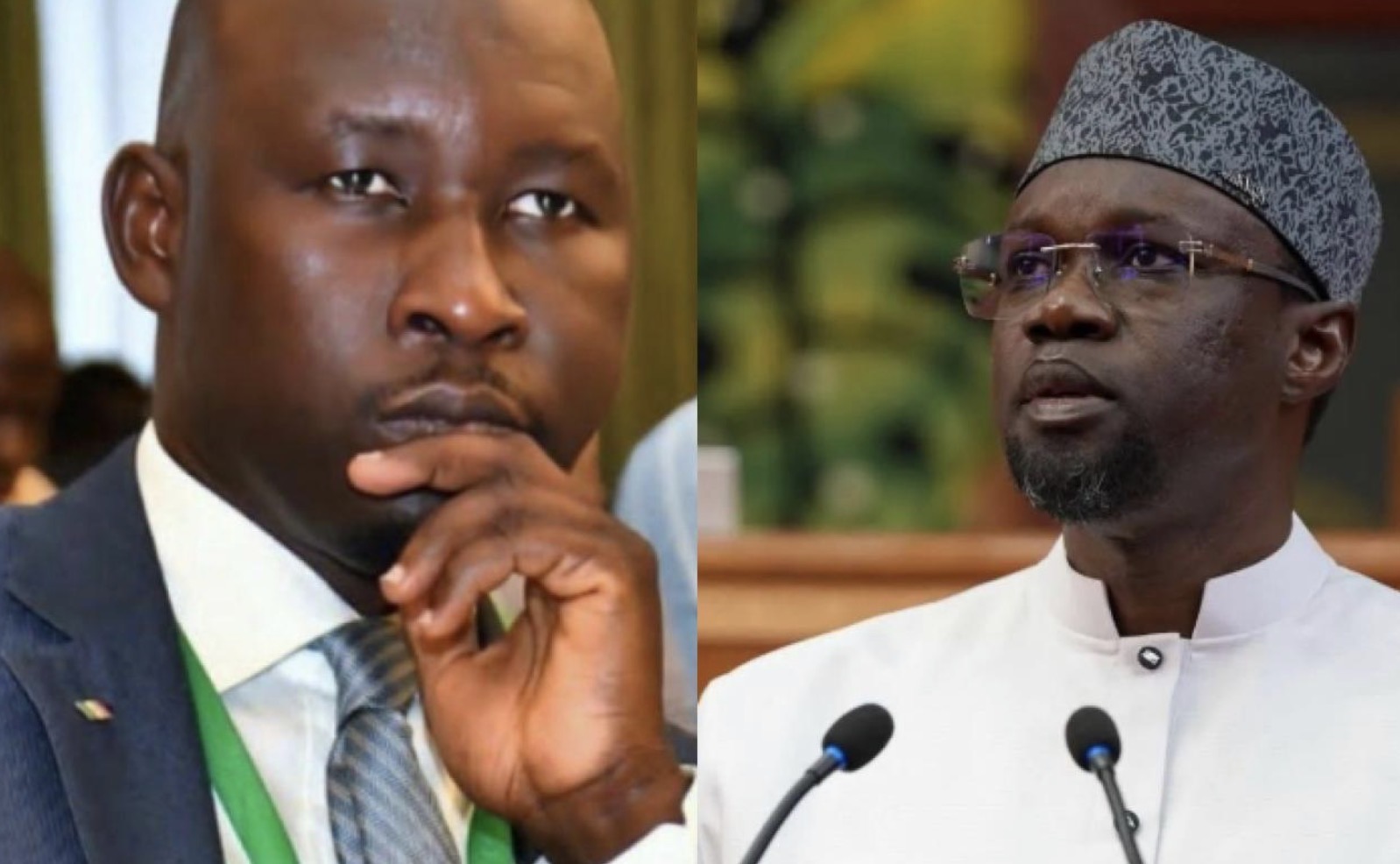 Diplomatie : « Le PM n'a aucune qualité à... », la nouvelle charge de Mayoro Diop contre Sonko