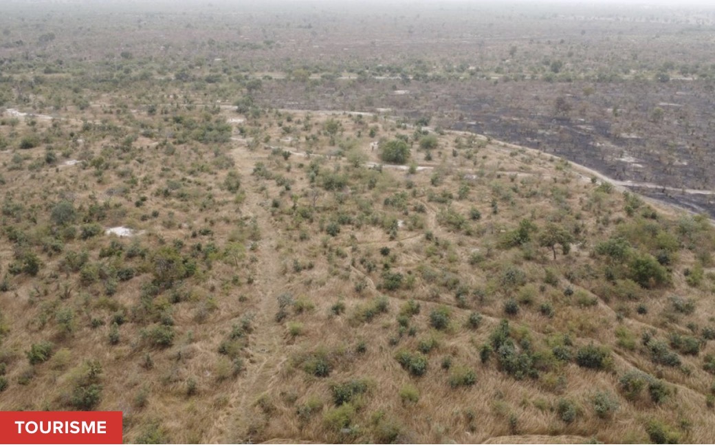 Safari : Ce projet titanesque qui promet de booster le tourisme de 21 %, mais qui attend le feu vert de l'État
