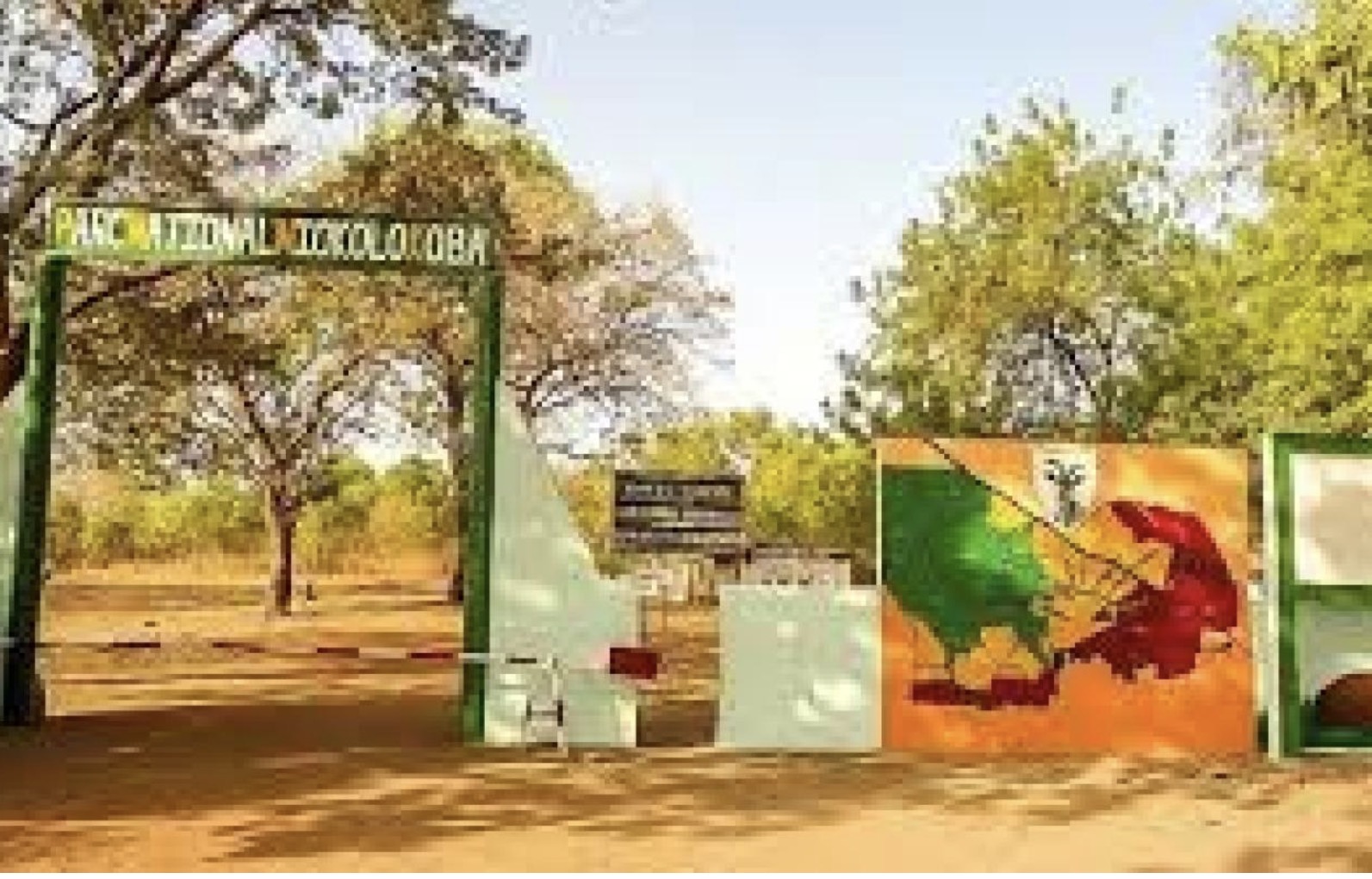 Accident de la circulation dans le Parc National de Niokolo Koba : 03 morts et 19 blessés