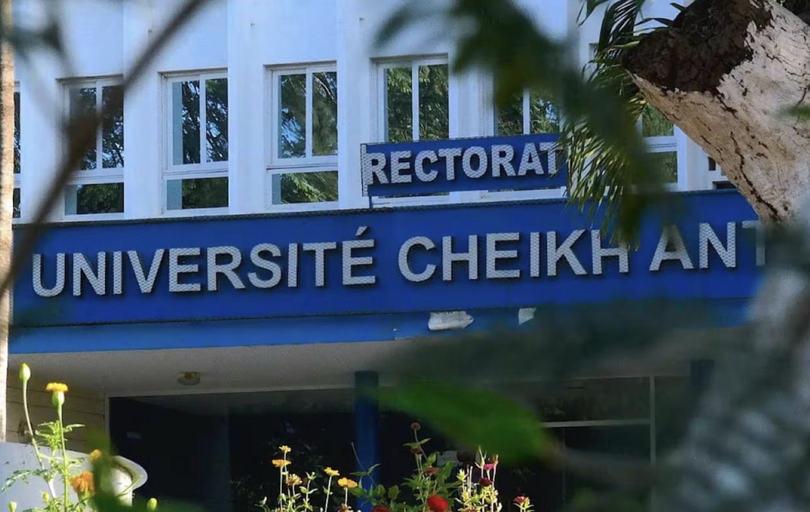 Coopération universitaire : l’UCAD se lance dans l’internationalisation at home