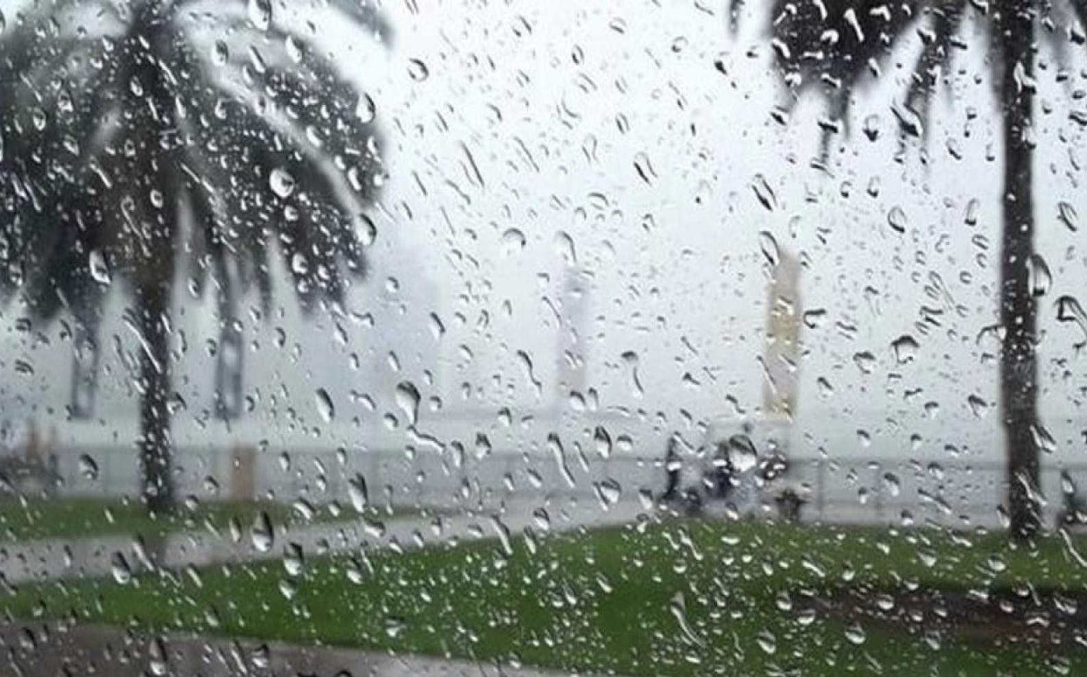 Jusqu'à 73 mm d'eau : Les premières pluies « utiles » lancent enfin l’hivernage à Kédougou