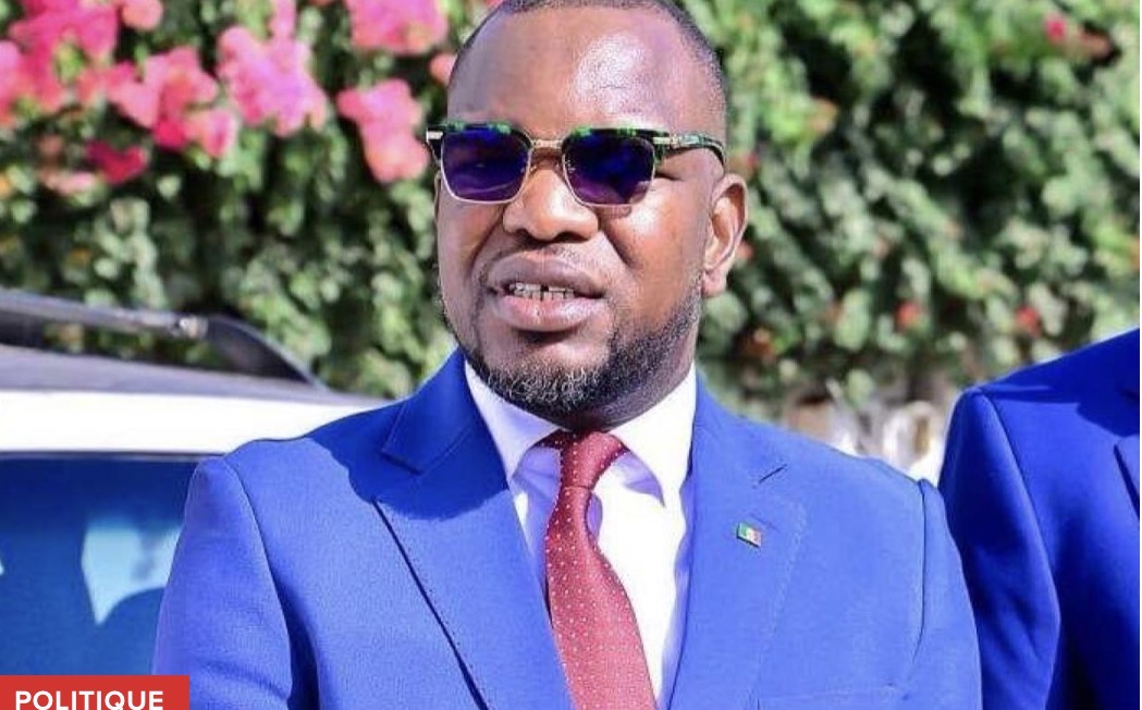 Me Ousmane Diagne : «Je reste ministre-maire»