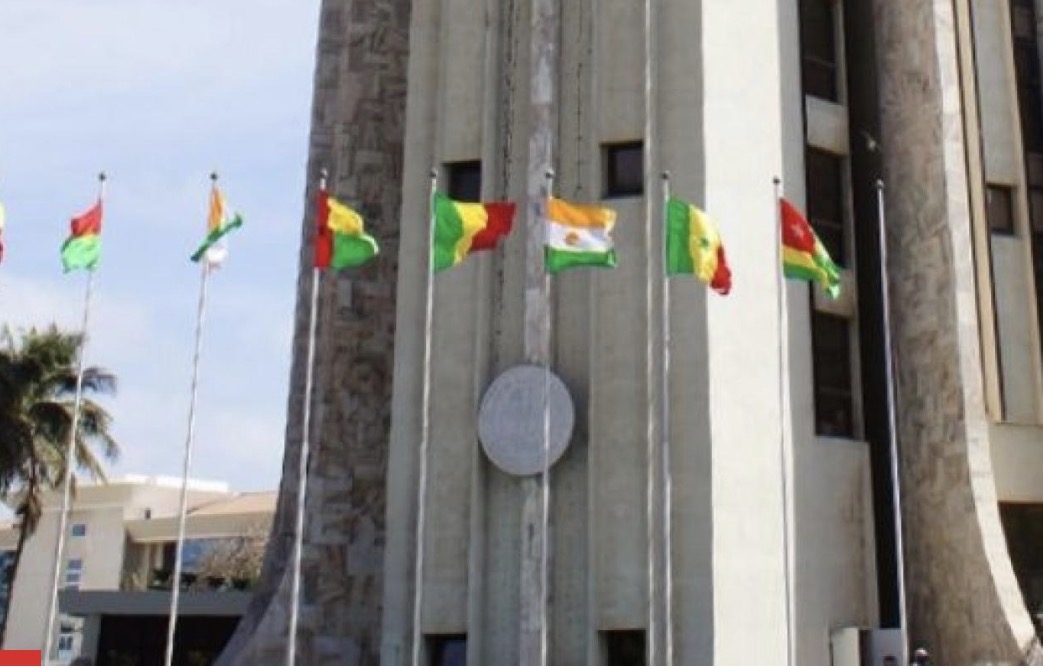 BCEAO, UMOA, UEMOA : les rouages de la gouvernance du franc CFA
