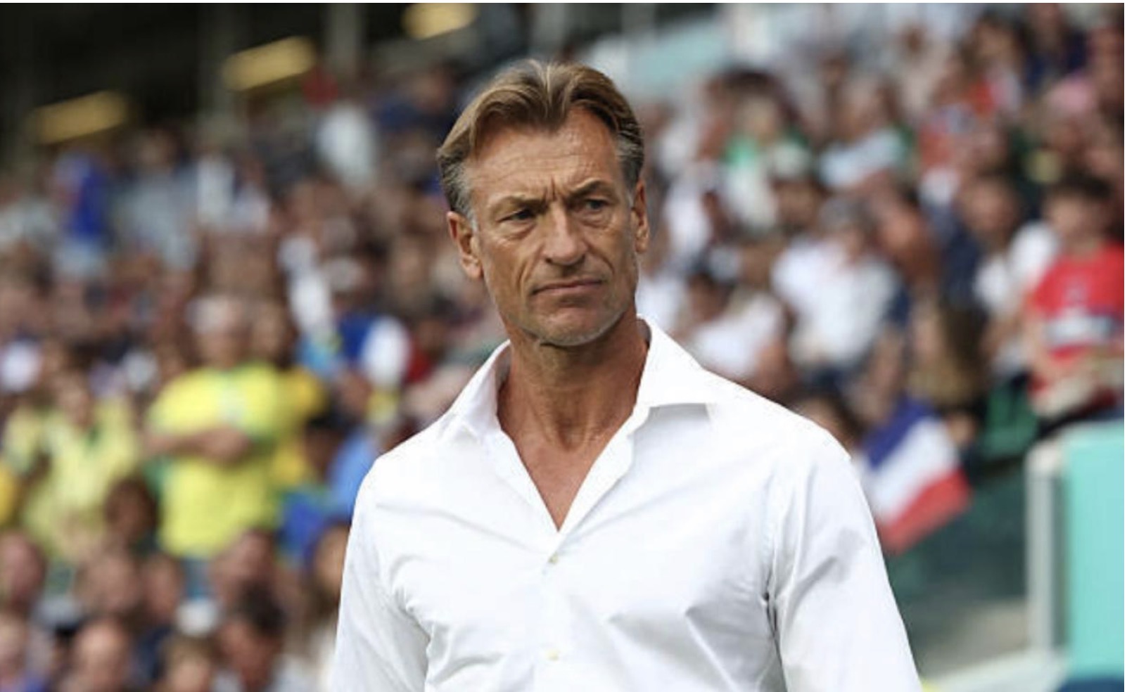 Hervé Renard quitte officiellement le banc de la Tunisie