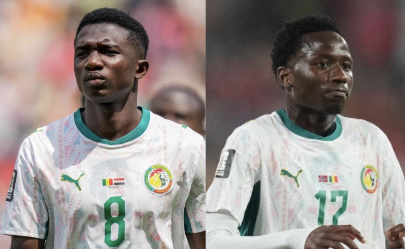 Lamine Camara, Pape Matar Sarr... Le crash de la nouvelle génération des Lions