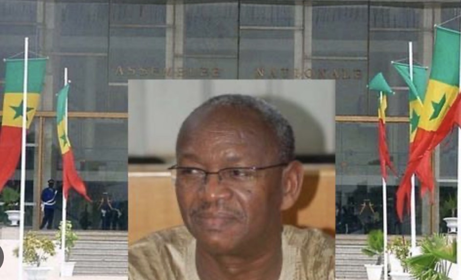 Lettre ouverte de Samba Diouldé Thiam À Monsieur Bassirou Diomaye Faye Président de la République du Sénégal, respectueusement.