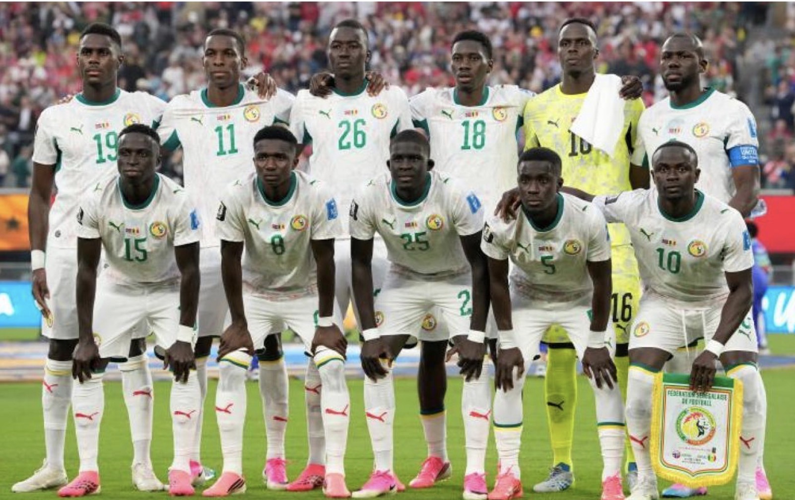 Mondial : Les Lions sans assurance, les coulisses d'un fiasco administratif