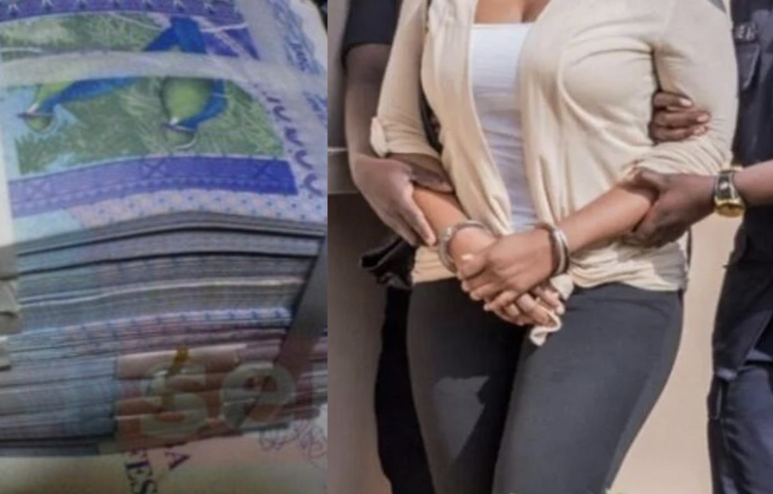 Arnaque «Minimarché Sn» : Ndèye Khady T., munie de 13 comptes Wave et Orange Money, fait 131 victimes sur Tik Tok