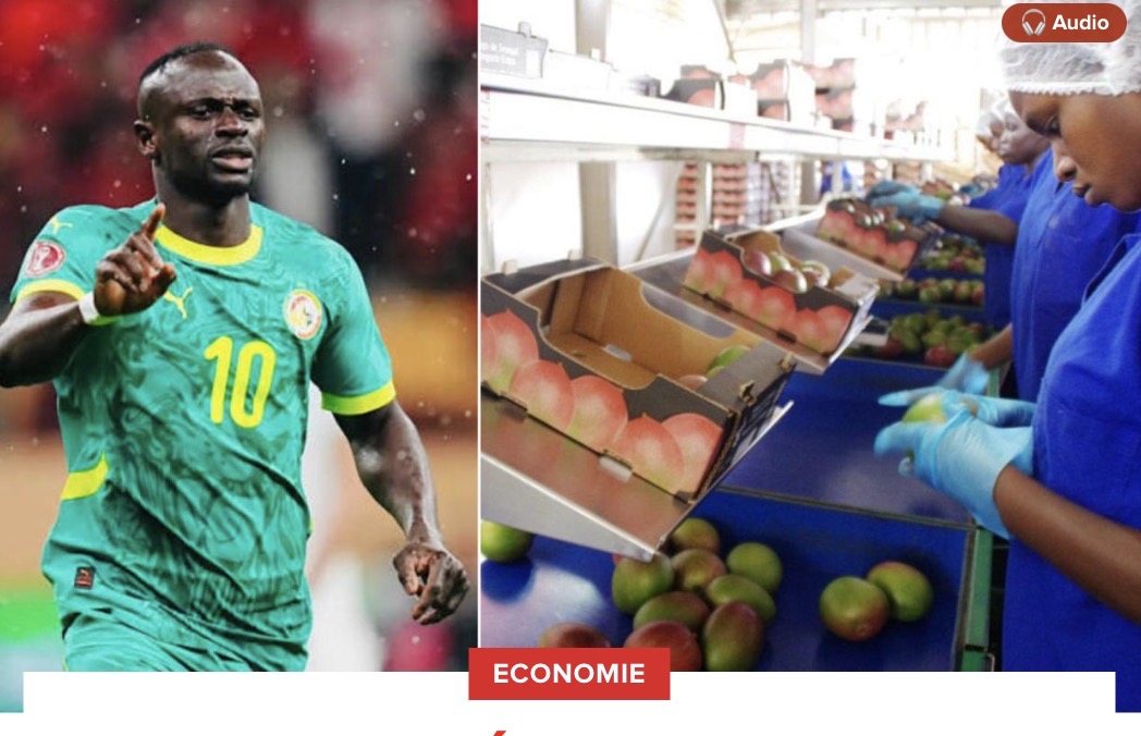 Sédhiou : Sadio Mané mise 8,7 milliards sur la transformation de la mangue