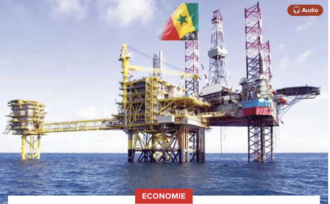 Chute spectaculaire des Ide au Sénégal : Deux causes du "mal" et les remèdes des autorités