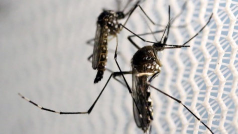 La Guinée-Bissau, deuxième pays d'Afrique touché par Zika après le Cap-Vert