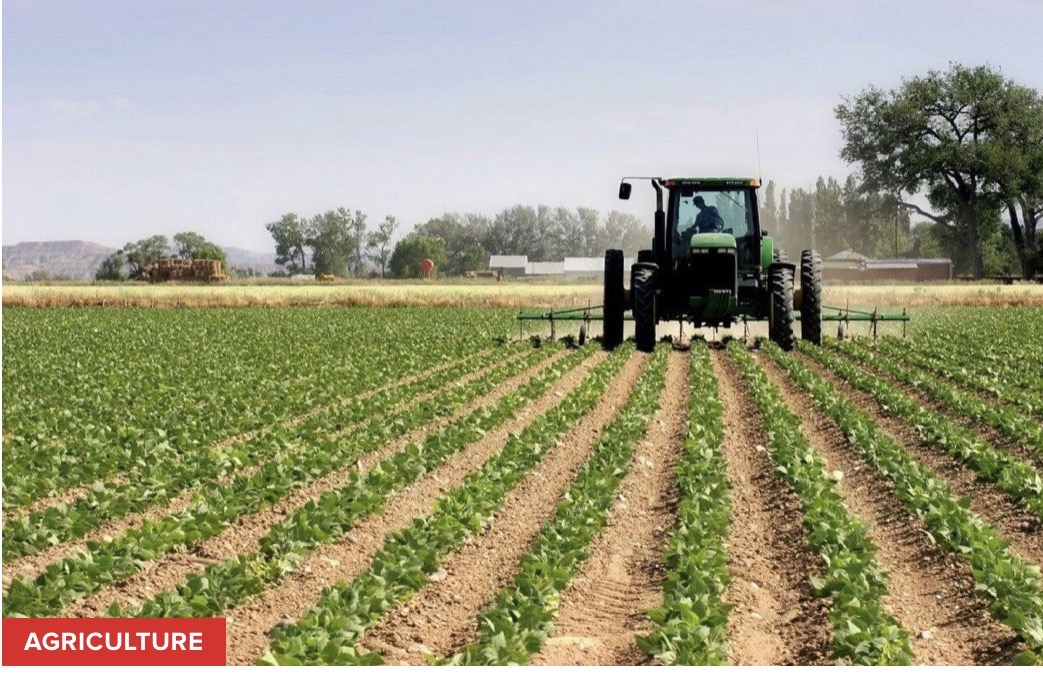 Kédougou : la campagne agricole 2026 sous la menace d’un déficit pluviométrique.